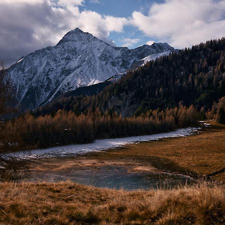 Stelza Nature Chalet ヴァル・ディ・ヴィッツェ エクステリア 写真