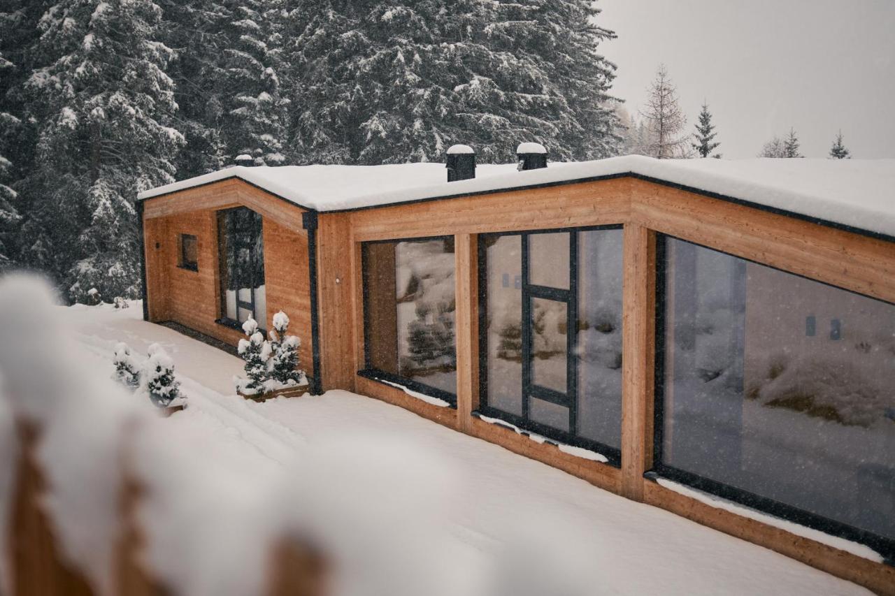 Stelza Nature Chalet ヴァル・ディ・ヴィッツェ エクステリア 写真
