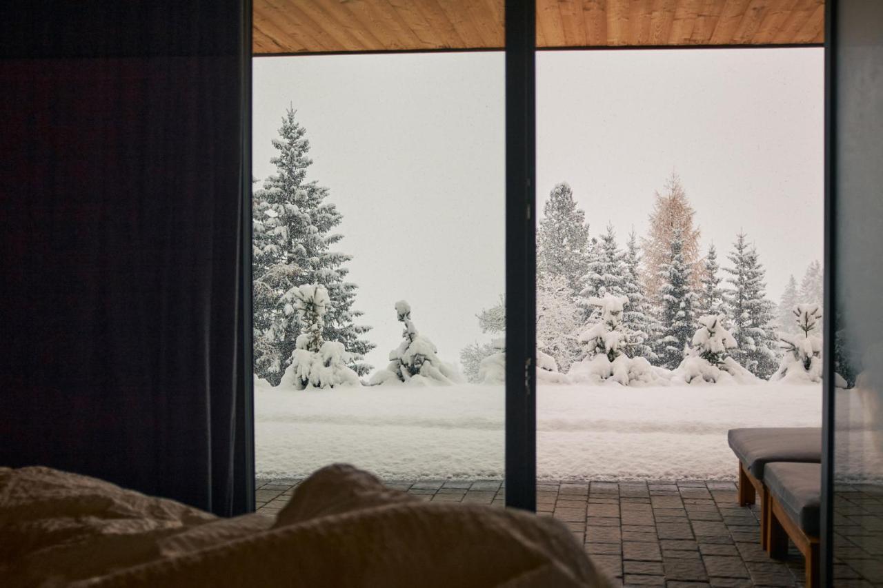 Stelza Nature Chalet ヴァル・ディ・ヴィッツェ エクステリア 写真